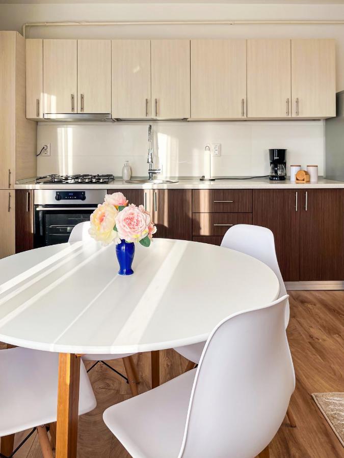 Uniquemoments Airport Apartment & Secure Parking & Airport Shuttle 이아시 외부 사진